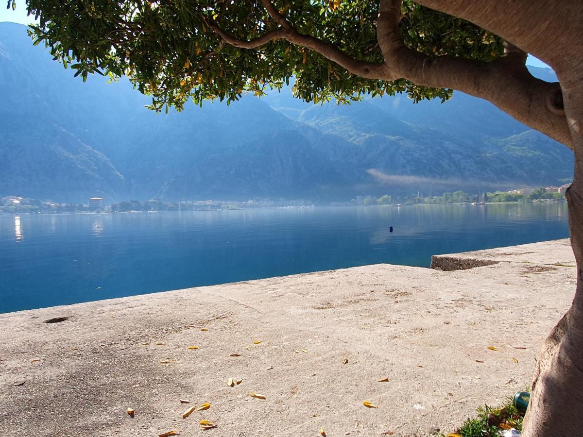 Apartman Pontica Kotor Exterior foto