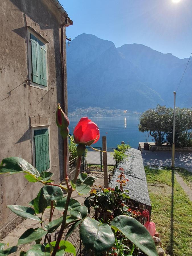 Apartman Pontica Kotor Exterior foto