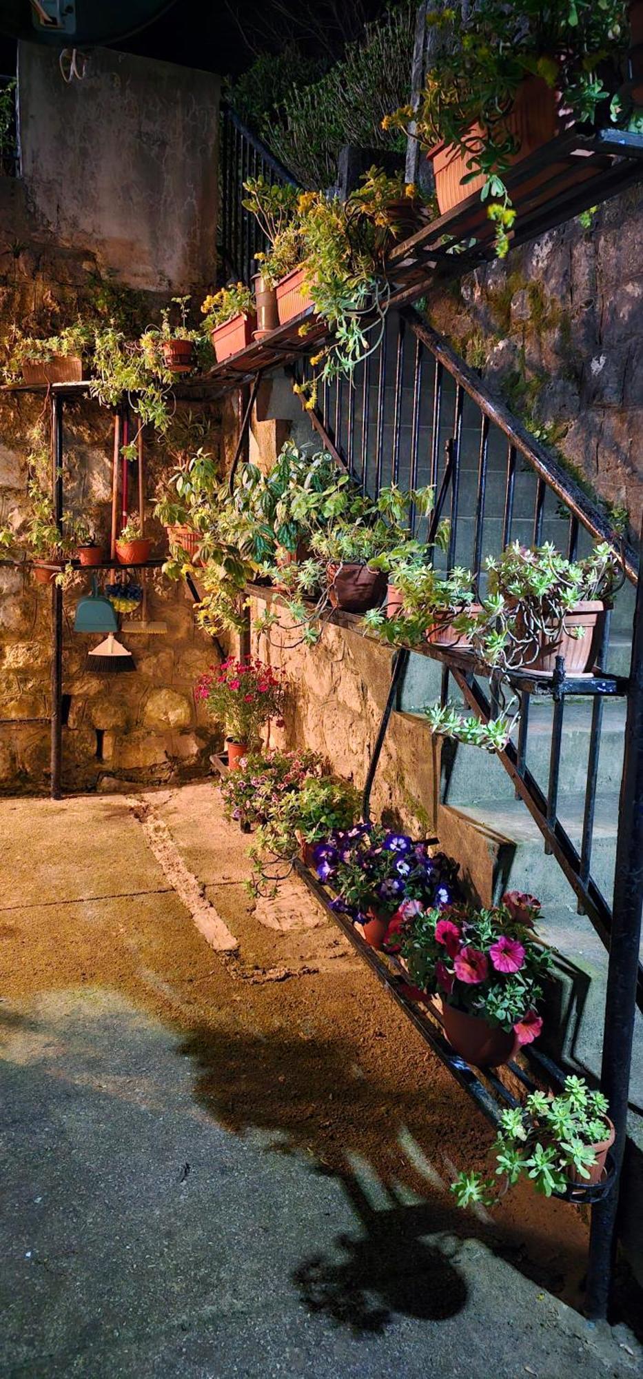Apartman Pontica Kotor Exterior foto